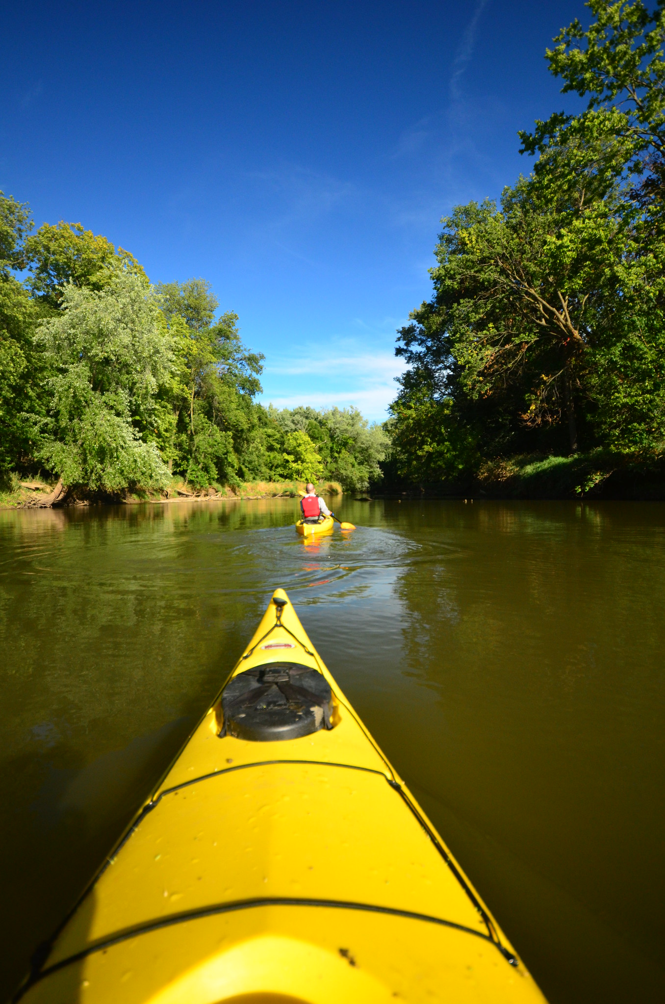 kayakers paddling a river with a wooded shoreline