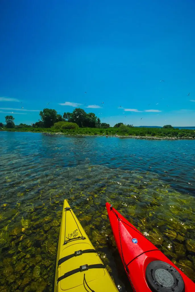 Two kayaks on a lake with wooded shoreline