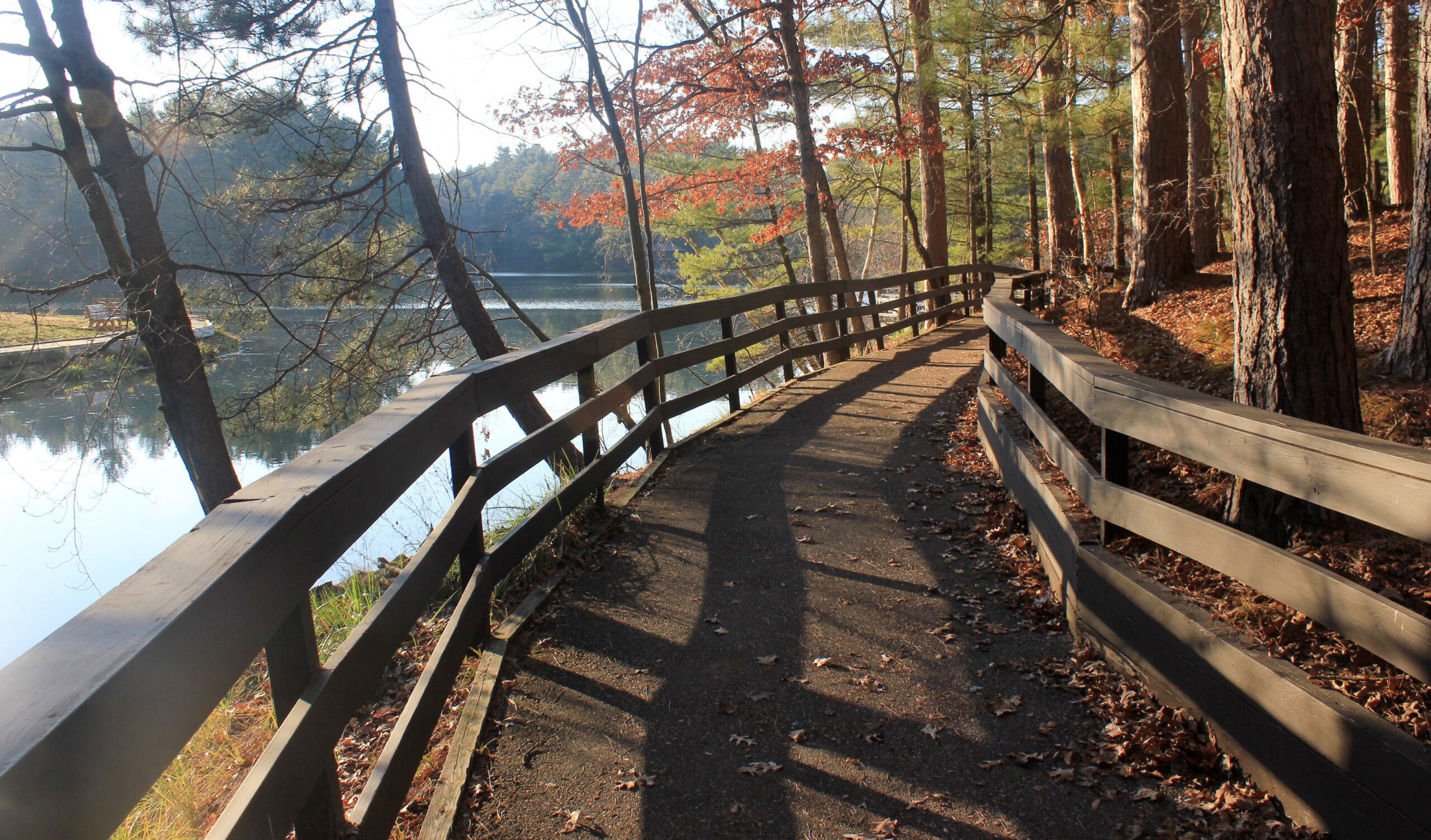 Wooden walkway next to the lake