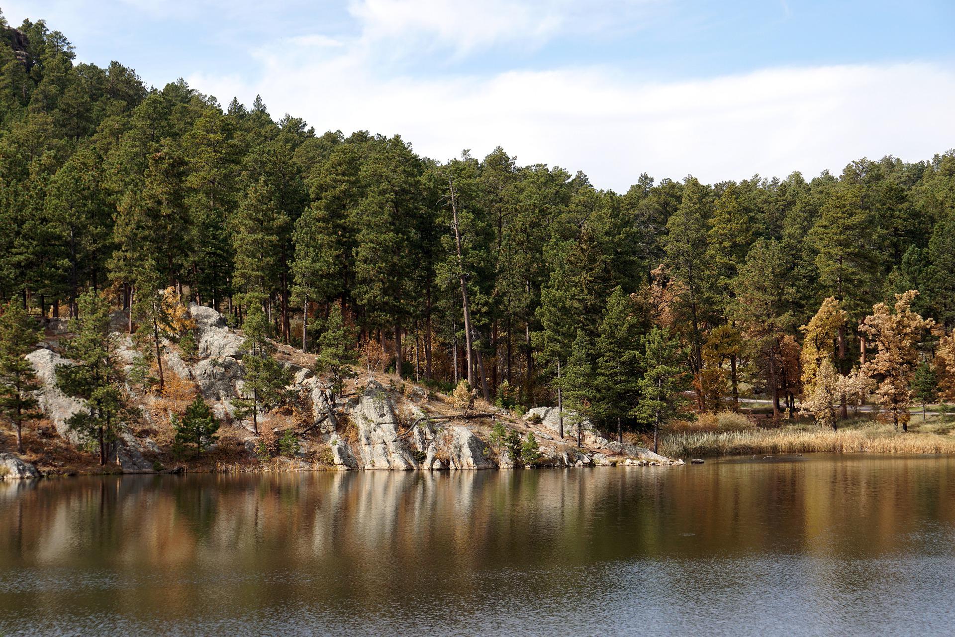 Lake with rock outcrop and forest in the background.