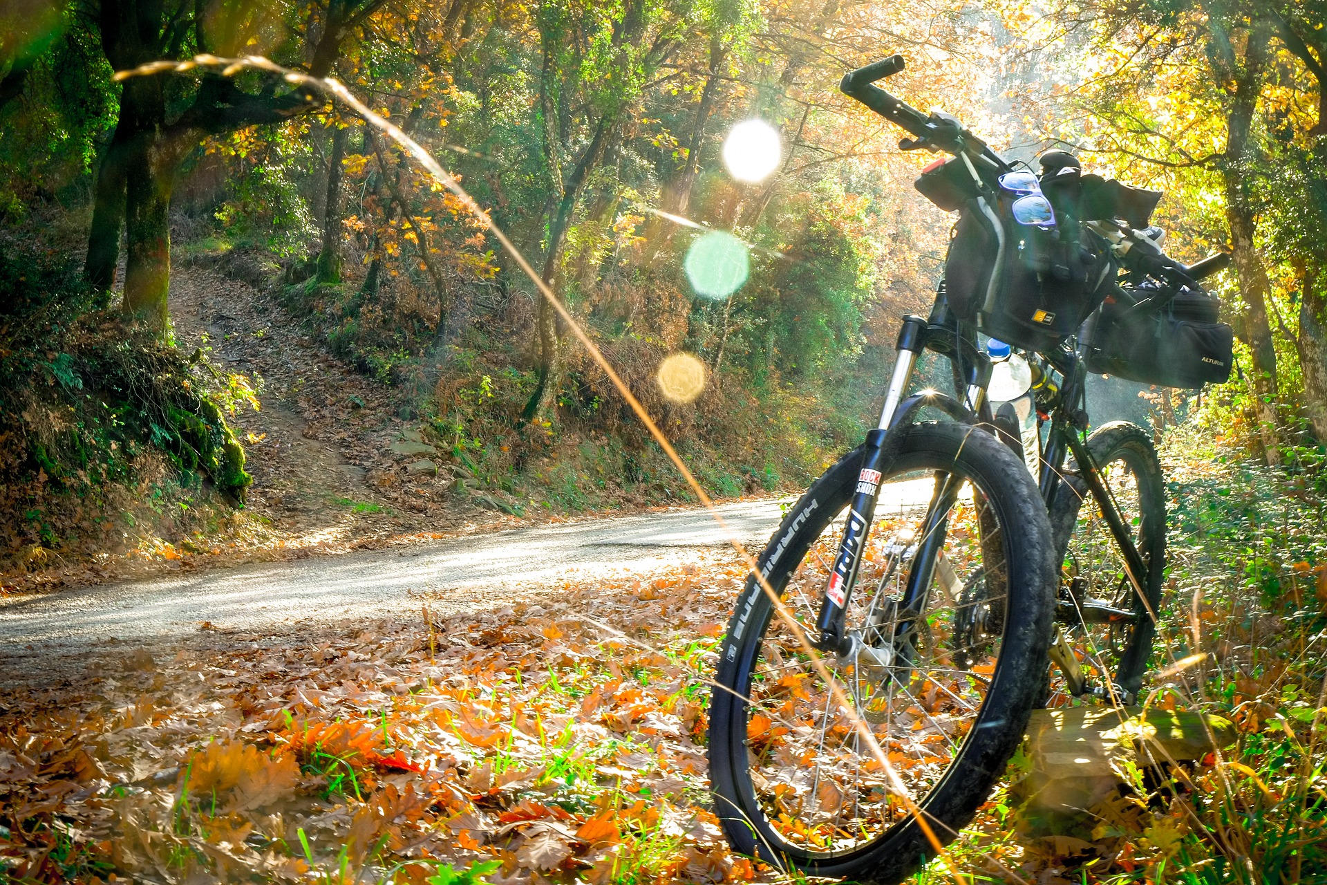 Mountain bike along a wooded trail.