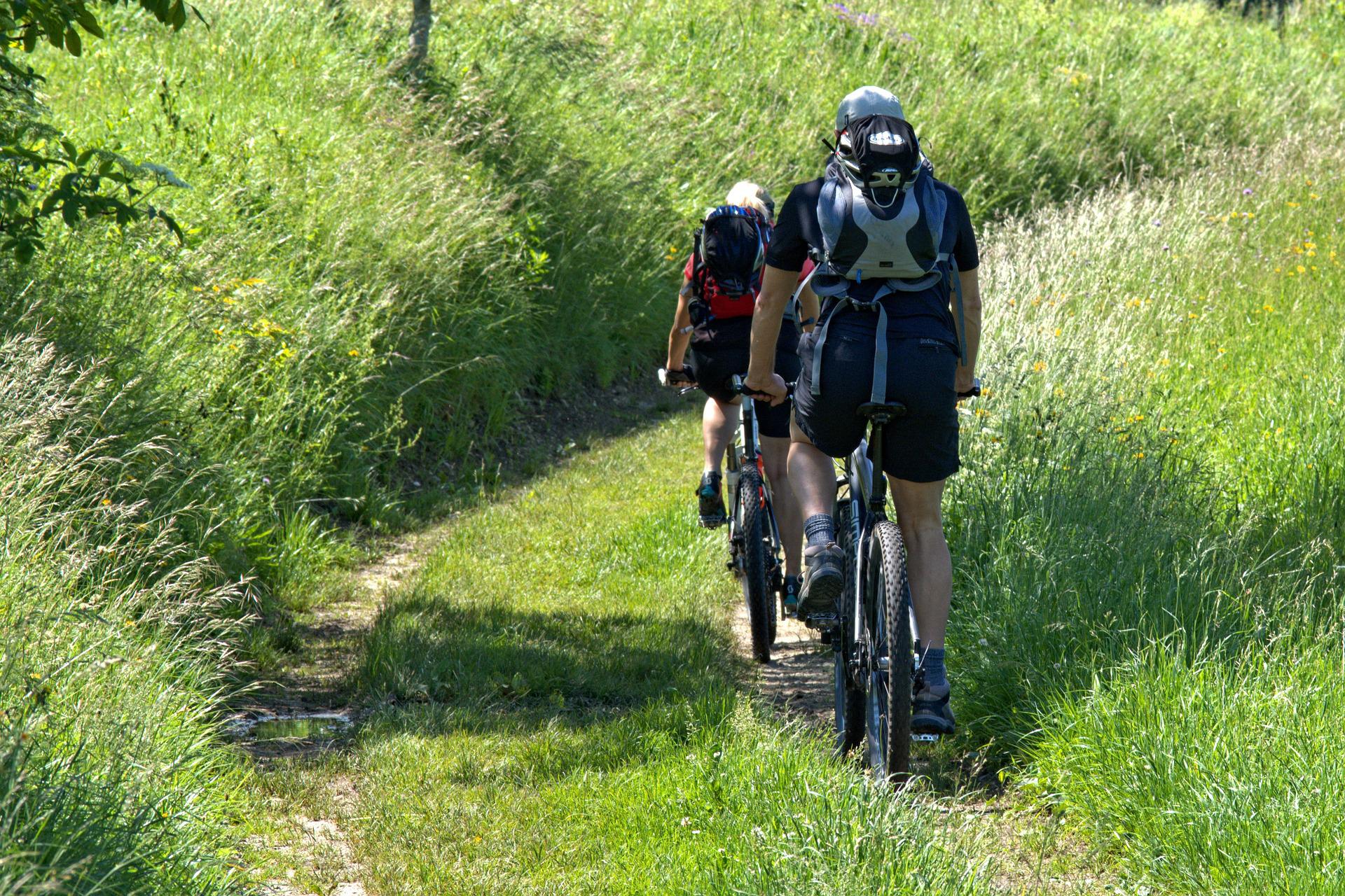 Mountain Bikers biking on a grassy trail.