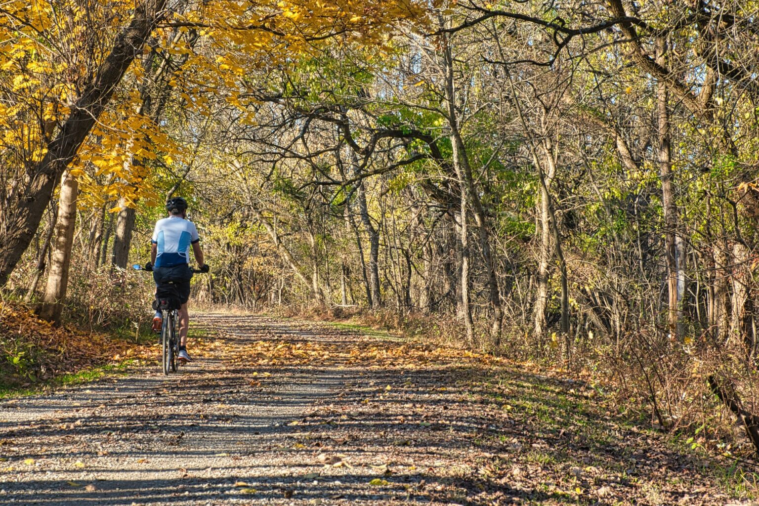 The 6 Best Minnesota State Parks with Paved Biking Trails - Wild Linda